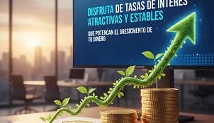 Rendimientos Competitivos